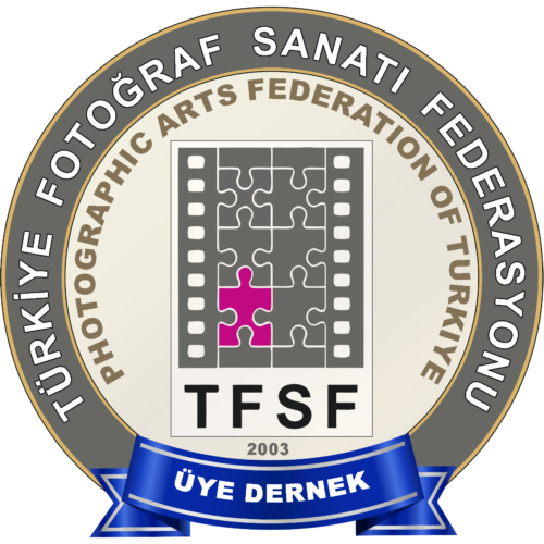TFSF
